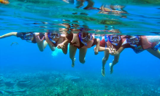 Snorkeling Tours in Onna-son