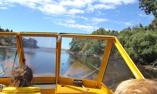 Excursion en jet boat 10 places - Safari sur la rivière Waiatoto