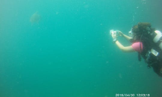 Snorkeling, Fun Diving Trips and Scuba Diving Courses in Trincomalee