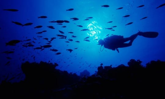 Snorkeling, Fun Diving Trips and Scuba Diving Courses in Trincomalee