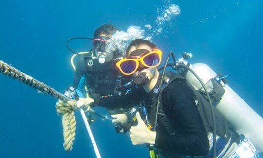 PADI Diving Courses and Trips in Ipswich