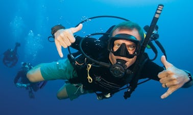 PADI Diving Courses and Trips in Ipswich