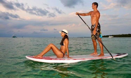 Stand Up Paddle Hire in Matalascañas