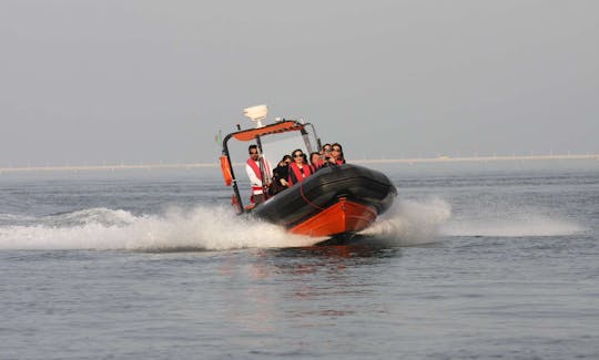 RIB day charter in Lisboa