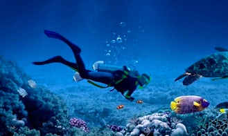 Snorkeling, Fun Diving Trips and Scuba Diving Courses in Trincomalee
