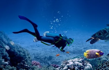 Snorkeling, Fun Diving Trips and Scuba Diving Courses in Trincomalee