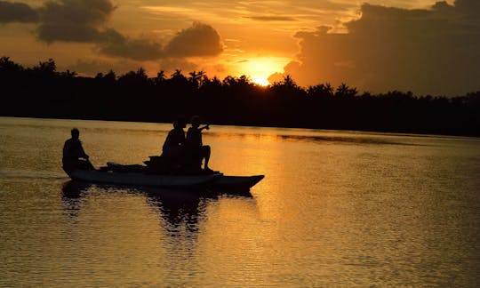 Safari en barco por la laguna en Mirissa