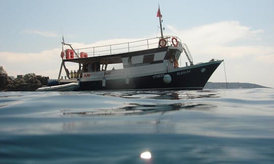 Viajes de buceo en Isole Tremiti, Italia