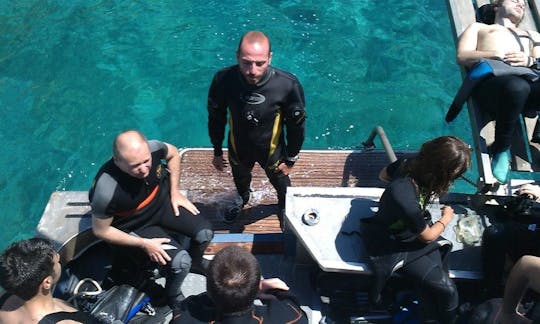 Viajes de buceo en Isole Tremiti, Italia