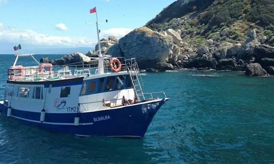 Viajes de buceo en Isole Tremiti, Italia