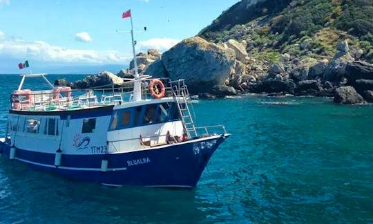 Diving Trips in Isole Tremiti, Italy