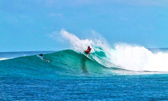 Surf Lesson & Hire in Tarifa