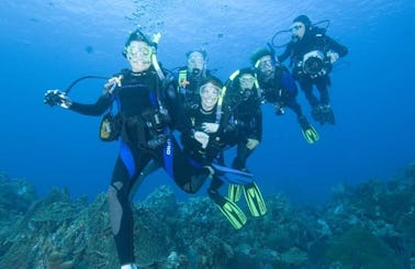 Denpasar Selatan Diving Trips