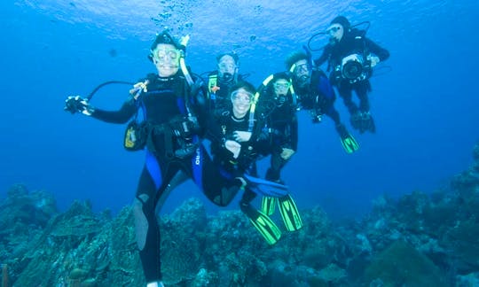 Denpasar Selatan Diving Trips