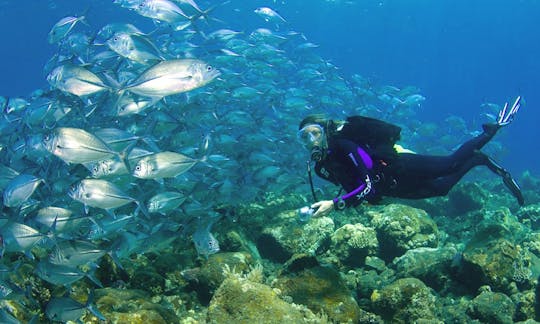 South Denpasar Diving Trips