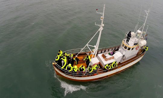 Whale Watching in Húsavík