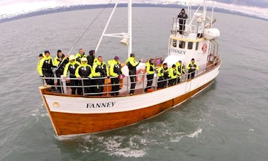 Avistamiento de ballenas en Húsavík