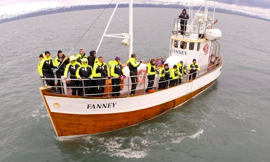 Whale Watching in Húsavík