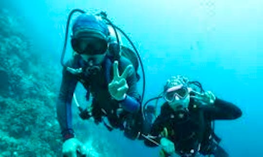 Exciting & Exhilarating Diving Adventure in Lapu-Lapu City, Philippines