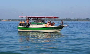 Whale and Dolphin Watching Tour in Mirissa