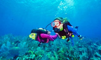Diving Trips and Courses in Hong Kong