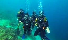 Exciting & Exhilarating Diving Adventure in Lapu-Lapu City, Philippines