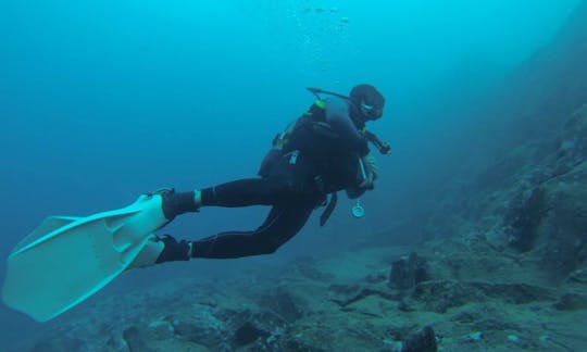 Diving in Santiago del Teide