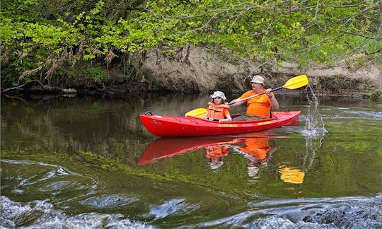Kayak Rental and Trips in Jędrzejów