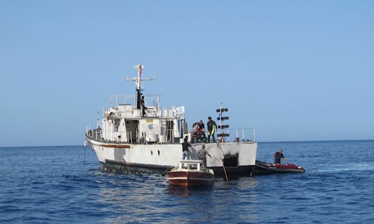 Cruceros de buceo a bordo del barco de buceo SG121 para 15 personas en Yanıklar Köyü, Turquía