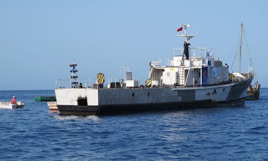 Diving Cruises aboard the 15 Person SG121 Dive Boat in Yanıklar Köyü, Turkey