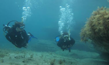 Cours de plongée sous-marine à Peyia