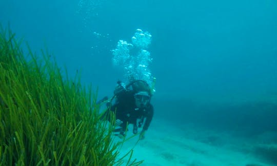 Scuba Diving Lessons in Peyia