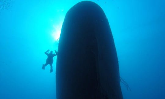 Diving in Paralimni