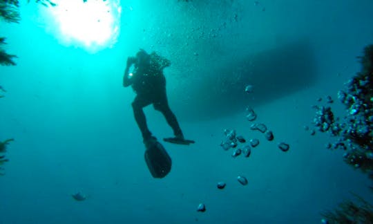 Diving in Paralimni
