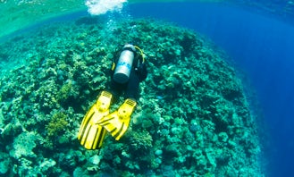Daily Guided Dive Trips on Famous Dive Sites in Dahab, Egypt