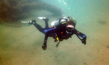 Daily Diving Trips in Qatar