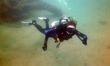 Viajes diarios de buceo en Qatar