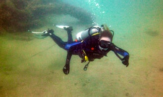 Daily Diving Trips in Qatar