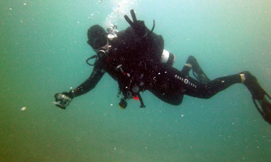 Daily Diving Trips in Qatar