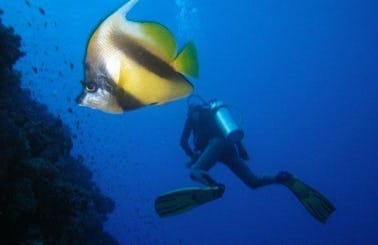 Book a Diving Trips on Famous Dive Sites in Dahab, Egypt