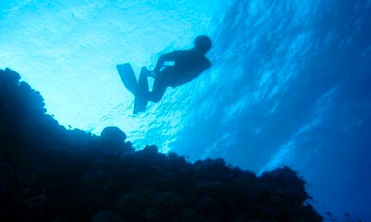 Book a Diving Trips on Famous Dive Sites in Dahab, Egypt