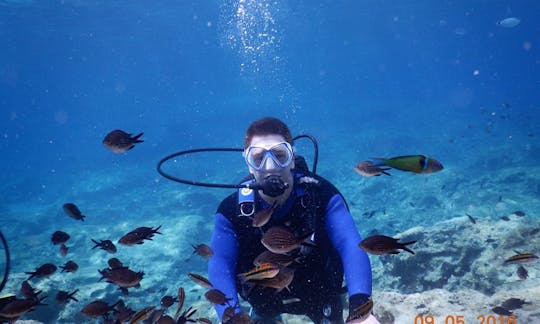 Scuba Lessons in Protaras