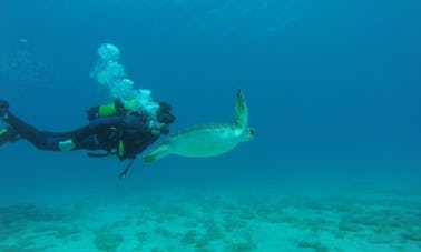 Buceo en Paralimni