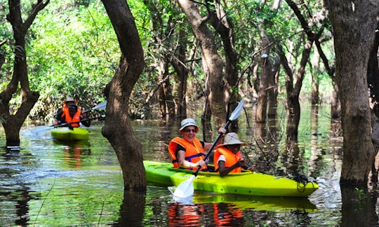 Guided Kayak Tour with a Professional Team in Krong Siem Reap, Cambodia