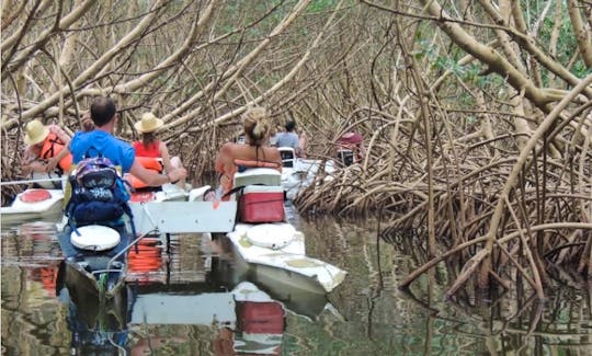 Mangrove Tour In Morne-À-l'Eau