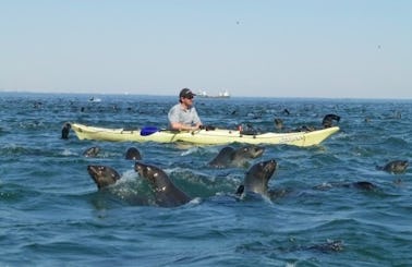Single Kayak Rental in Walvis Bay, Namibia