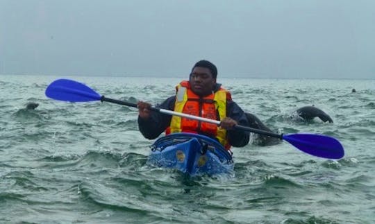 Single Kayak Rental in Walvis Bay, Namibia