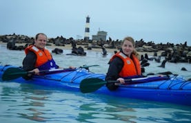 Guided Kayaking Tour to Pelican Point Peninsula in Namibia