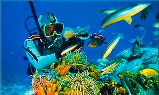 Diving in Madagascar