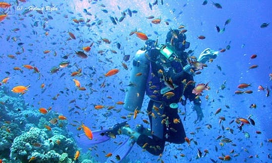 Diving in Madagascar